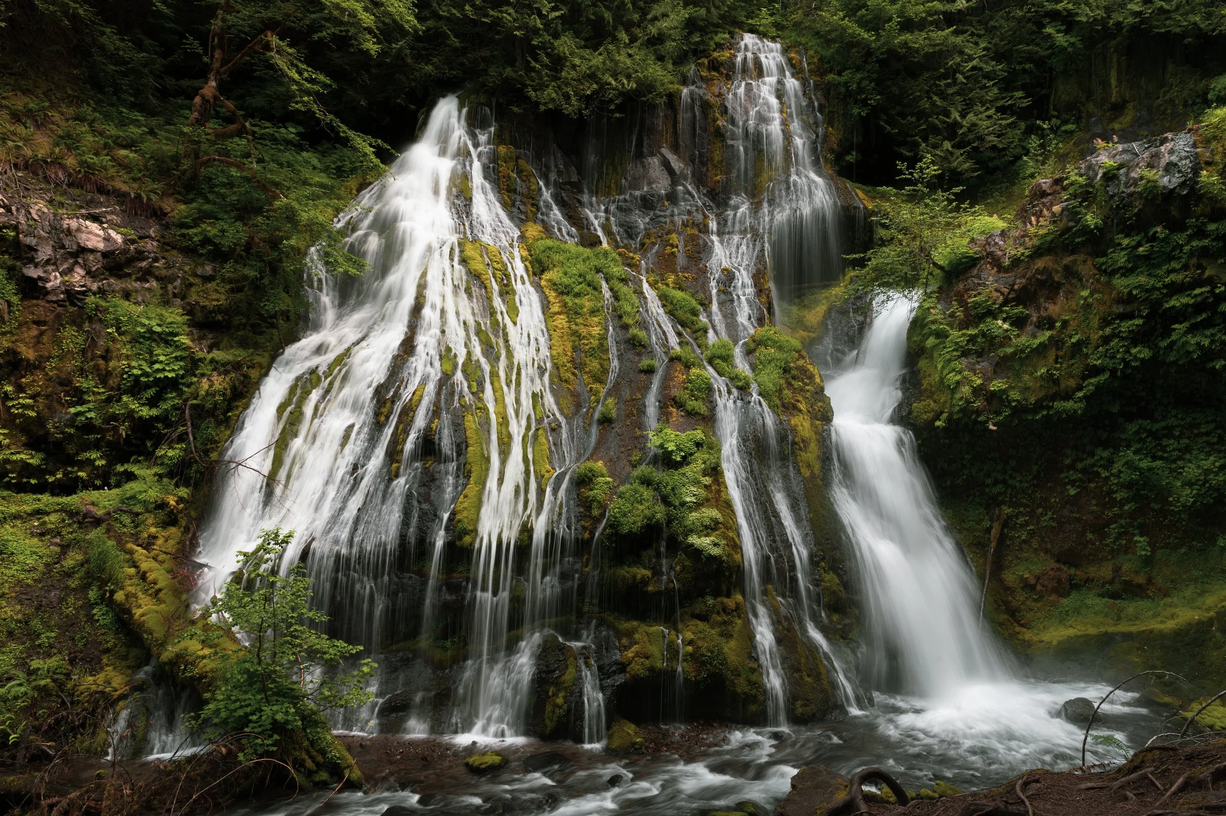 DSC_9475.jpg