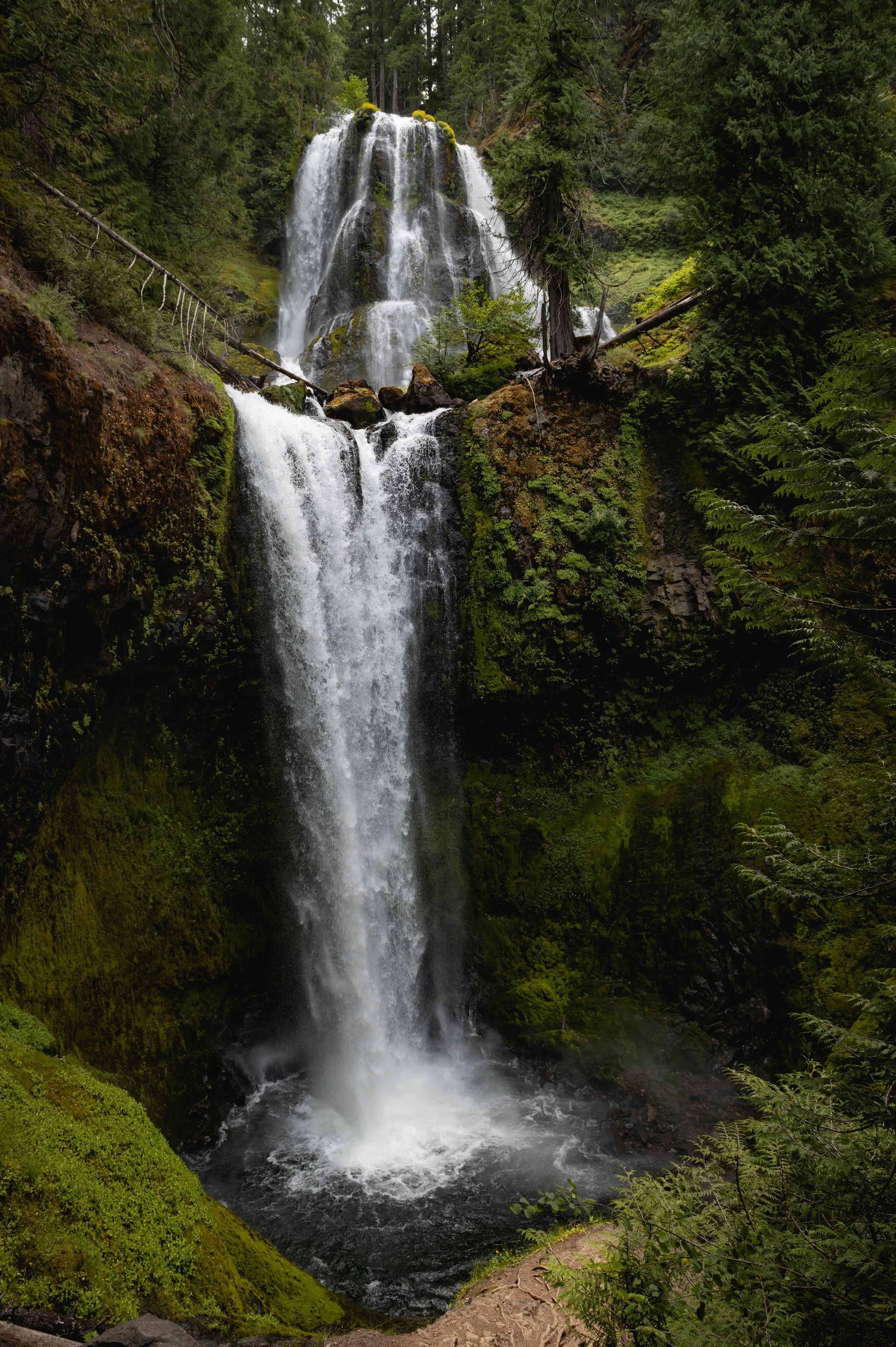 DSC_9525.jpg