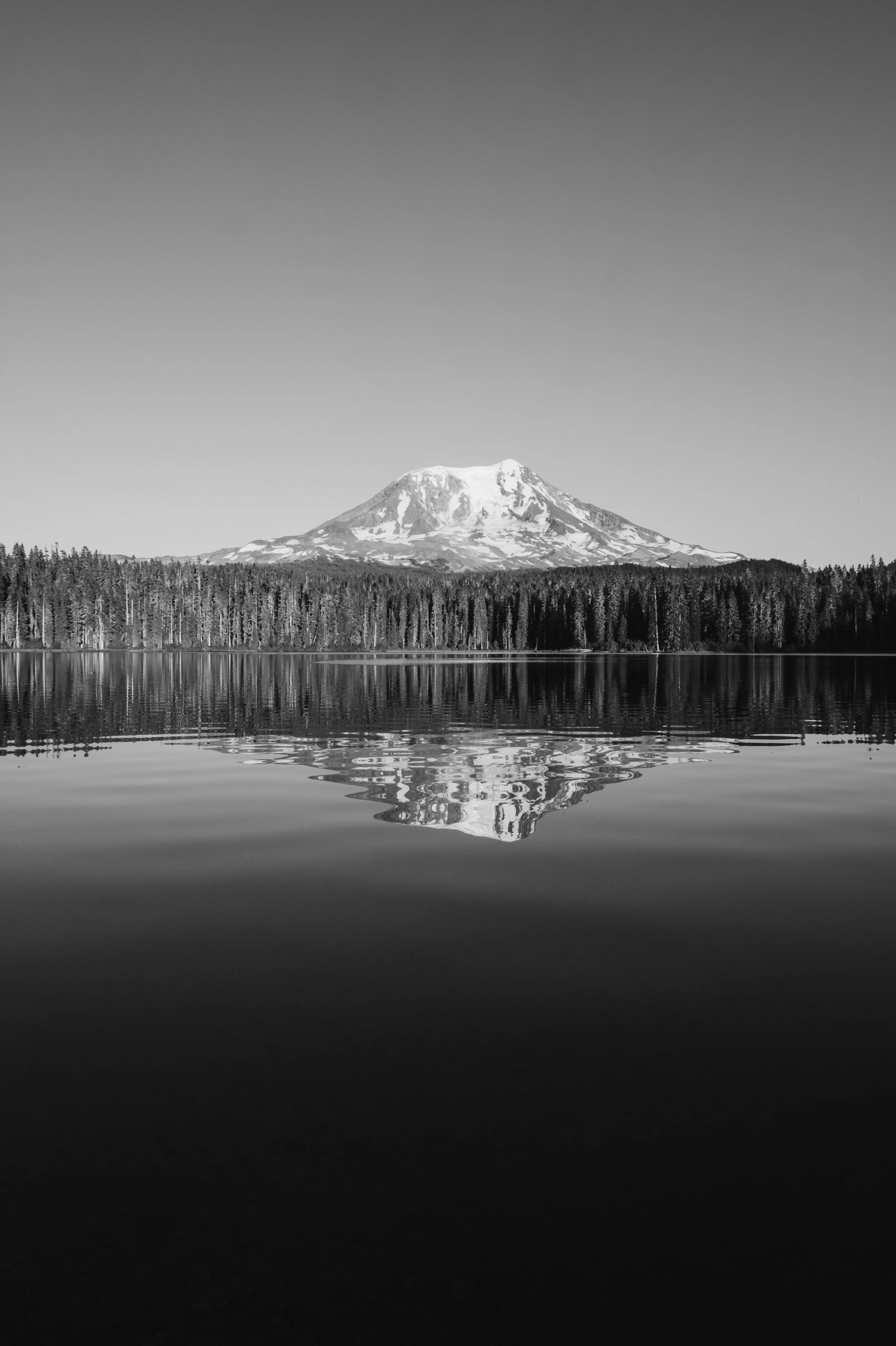 DSC_9650-Edit-Edit.jpg