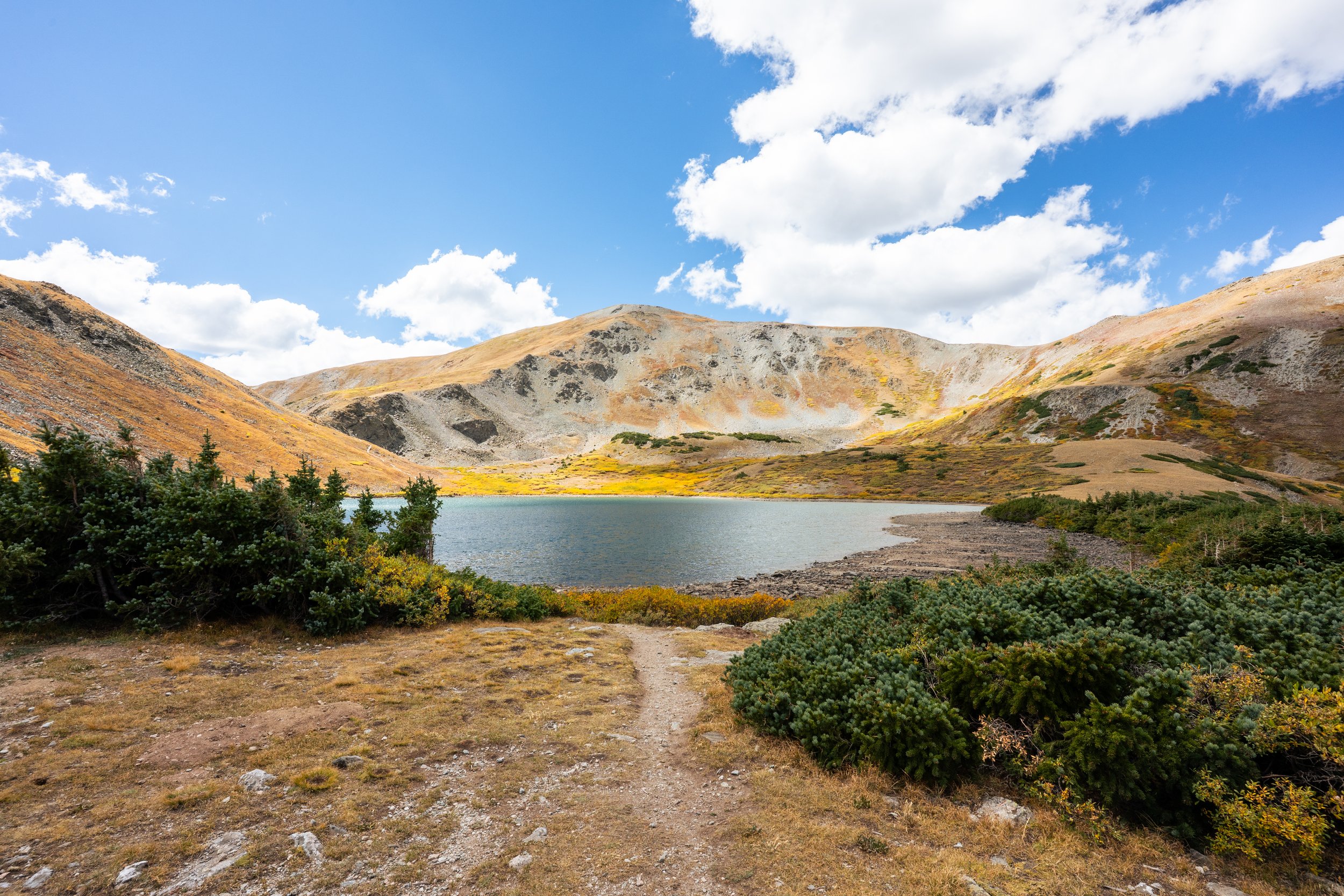DSC_0602.jpg