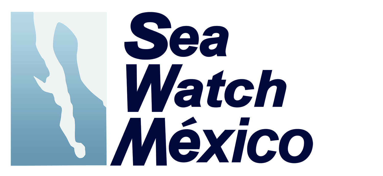 Sea Watch copy.jpg