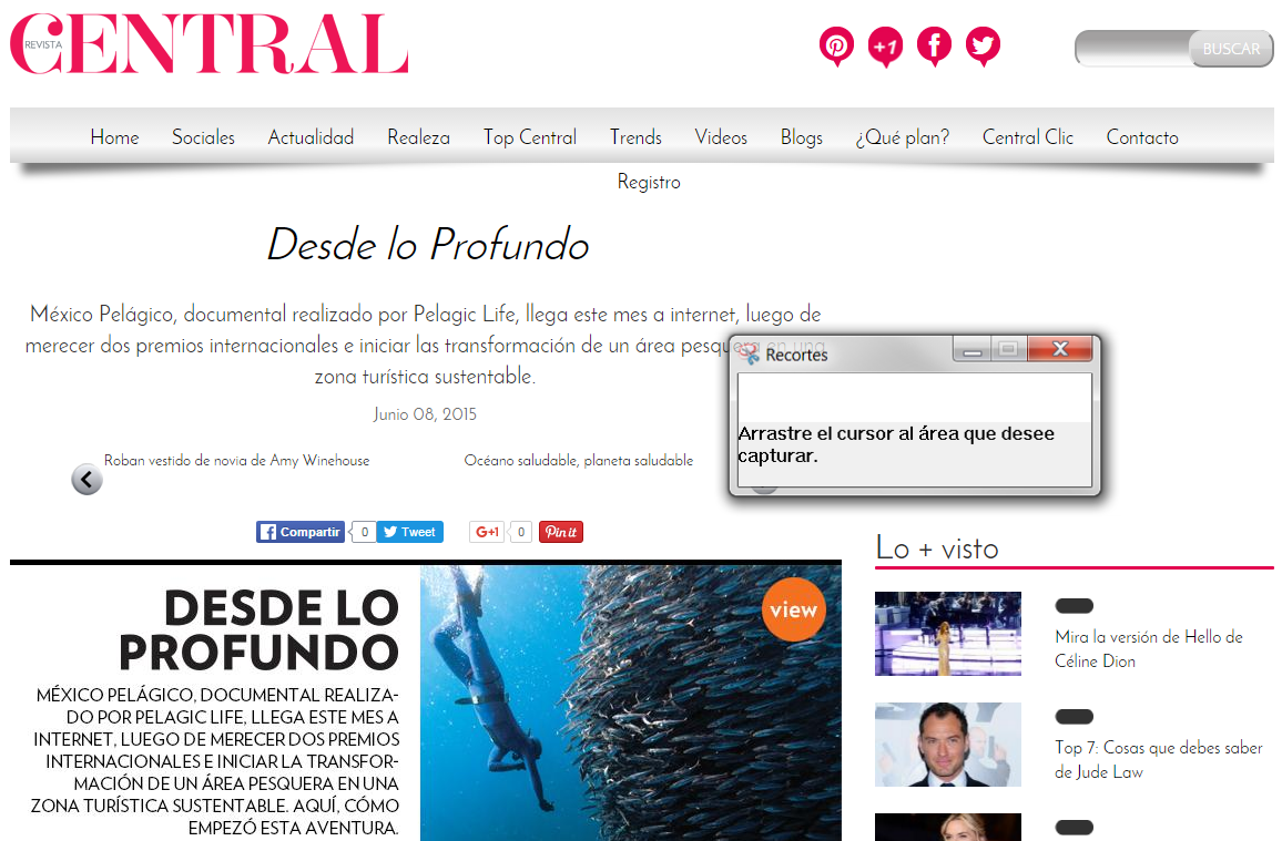 Revista Central