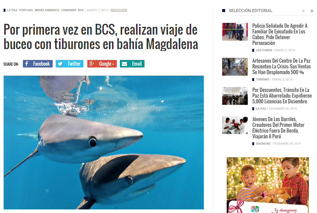 BCS Noticias