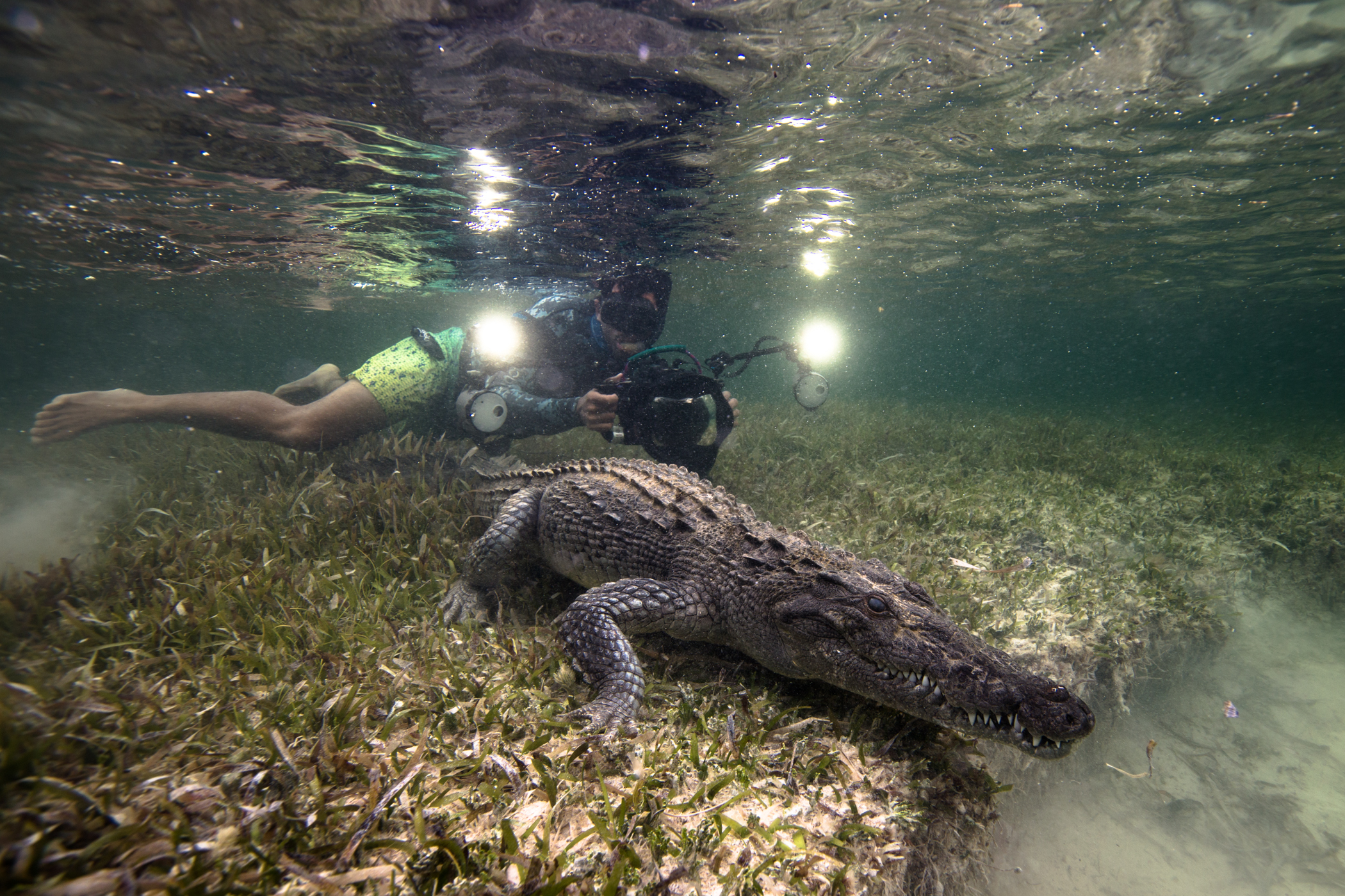 JPB 2016 Julio, Chinchorro Crocos GoPro-6 (4).JPG