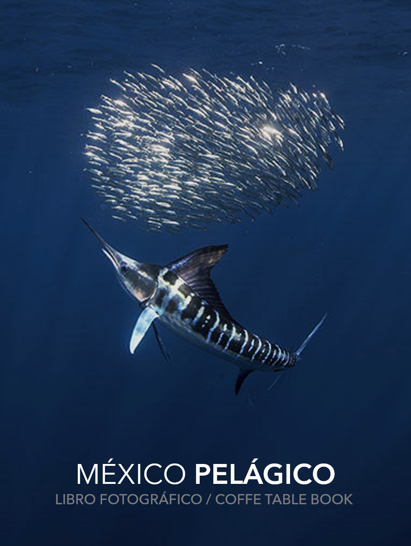 Mexico Pelagico Libro