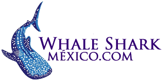 Whale Shark Mexico Logo.png