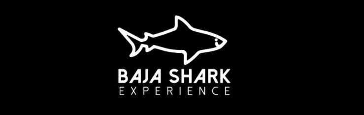 Baja Shark Experience.JPG