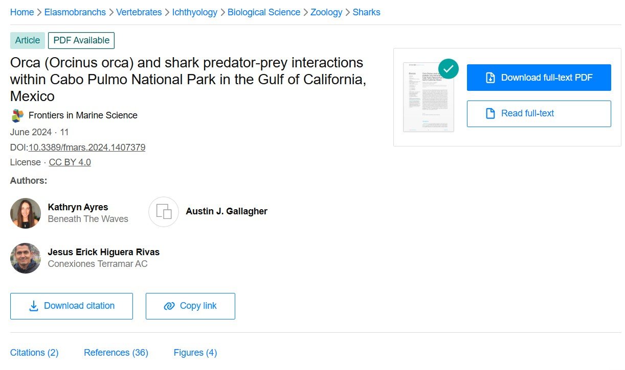 Orca (Orcinus orca) and shark predator-prey interactions within Cabo Pulmo National Park in the Gulf of California, Mexico