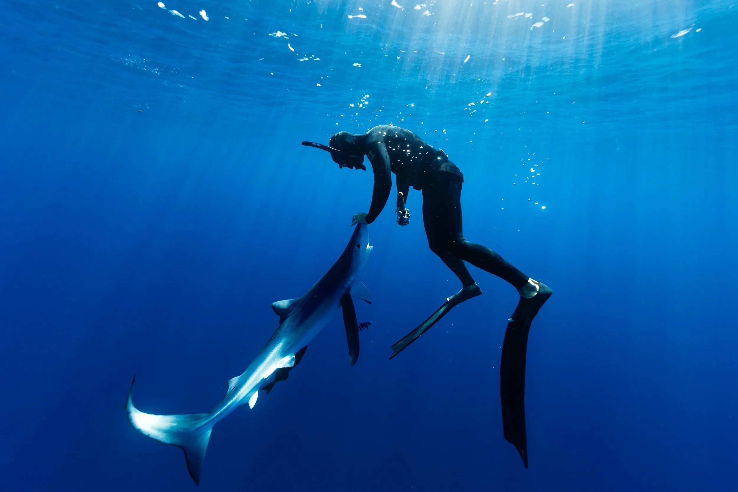 2026 Feb Cabo Tiburones-08.jpg