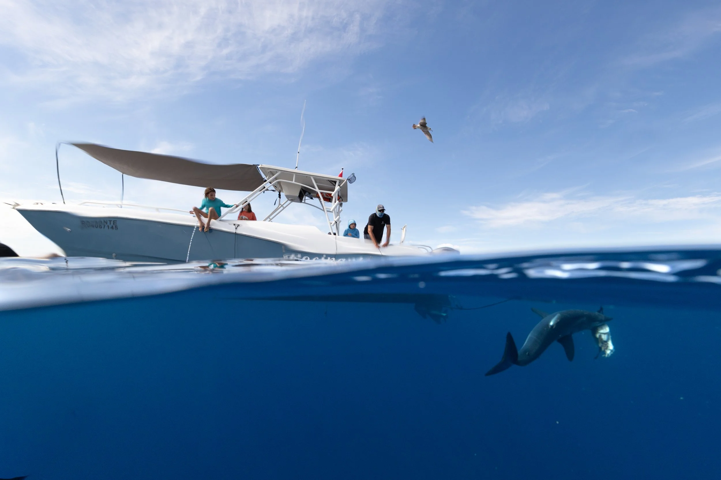 2026 Feb Cabo Tiburones-32.jpg