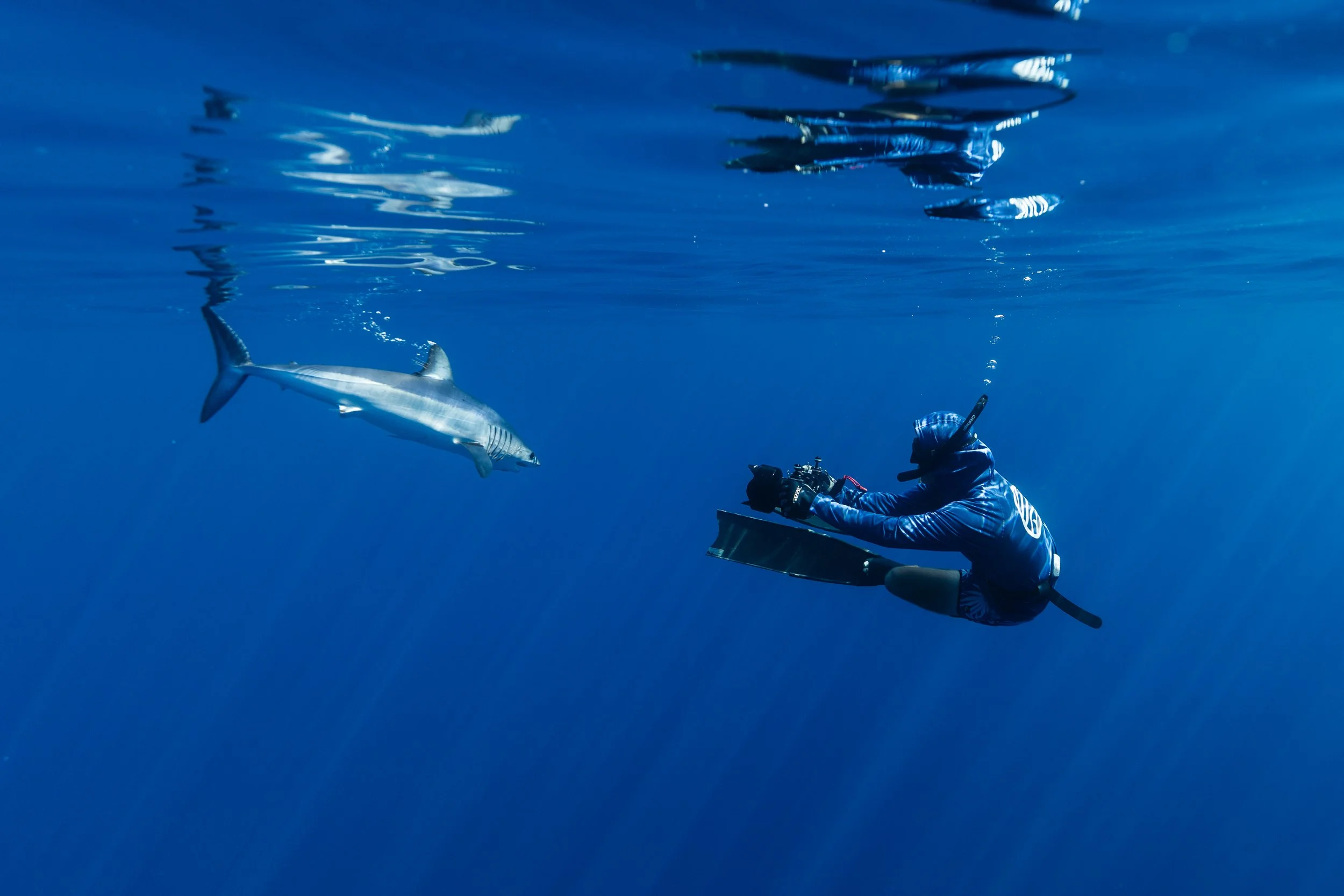 2026 Feb Cabo Tiburones-30.jpg