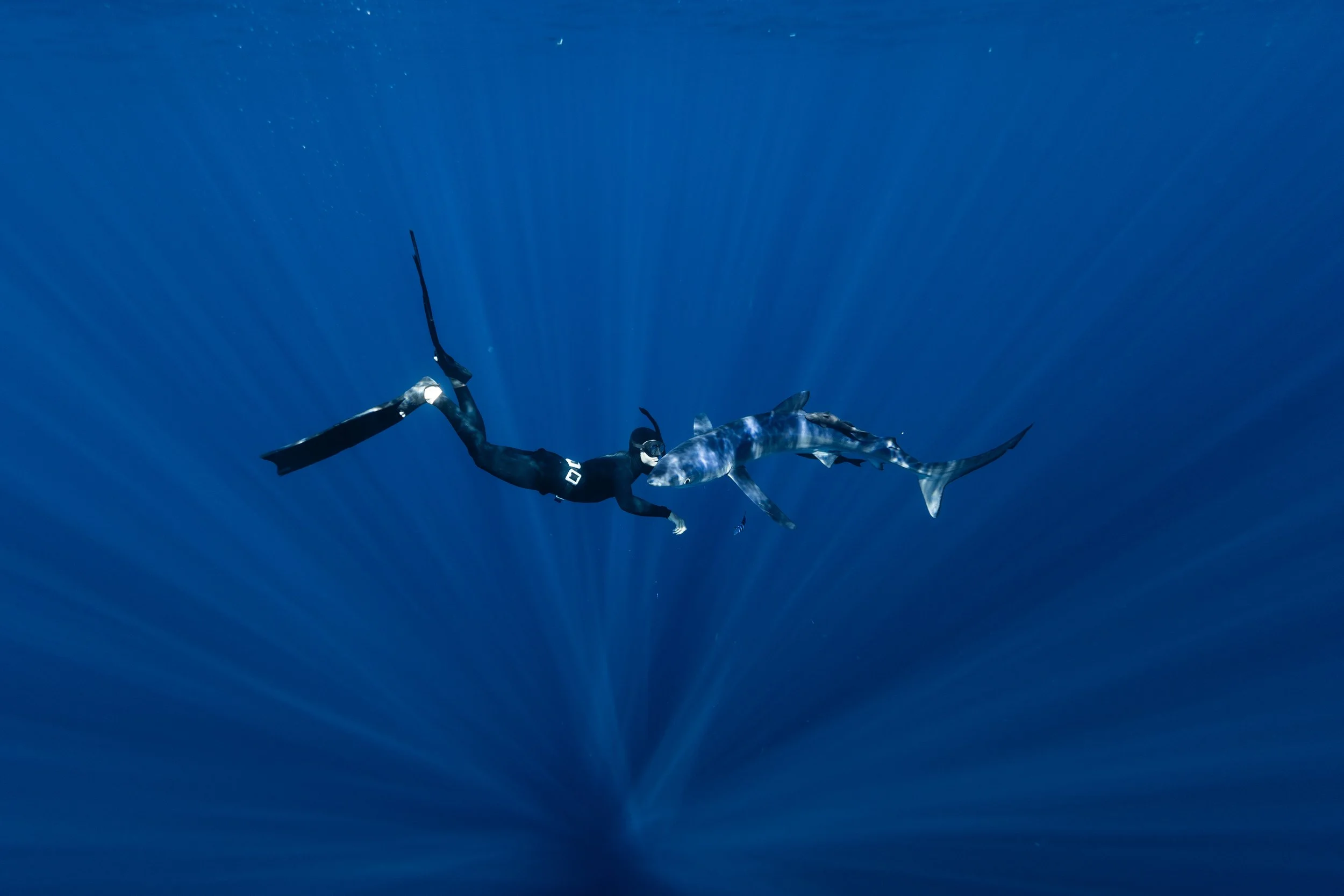 2026 Feb Cabo Tiburones-45.jpg