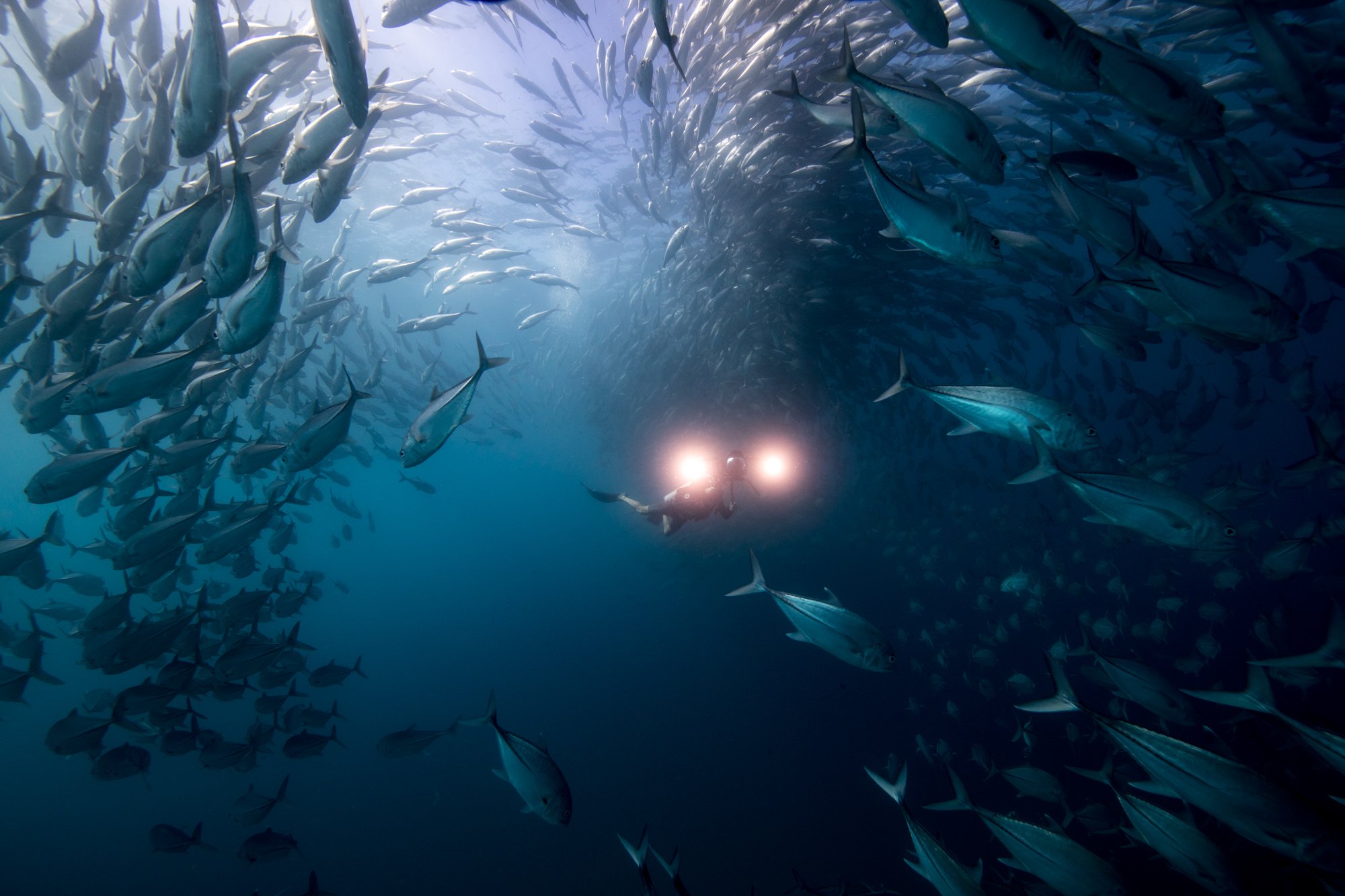 2017 Noviembre - Cabo Pulmo-10.JPG