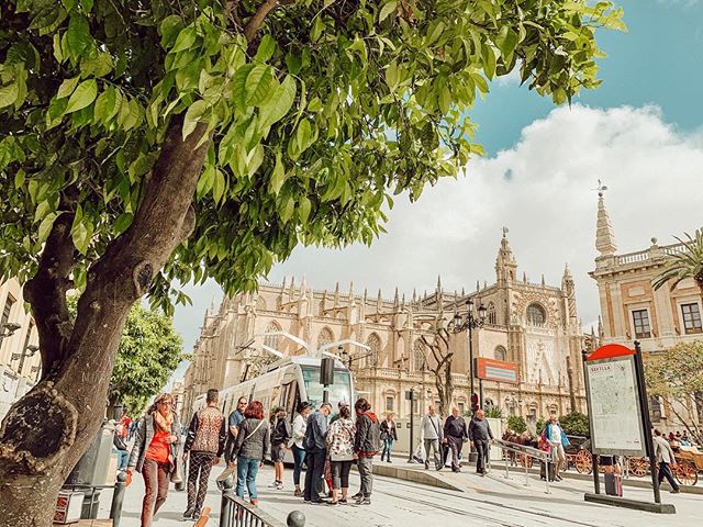 Seville Cathedral