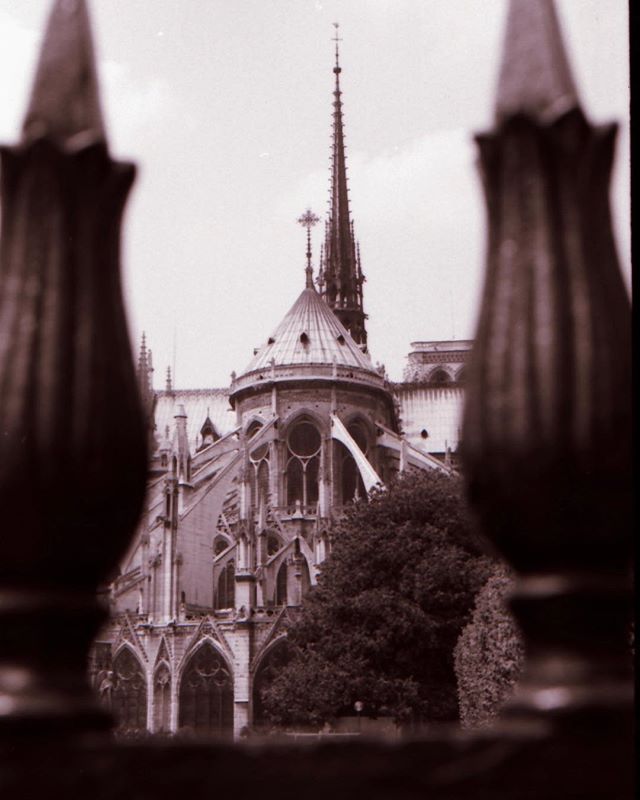Have been here multiple times over the years but took this pic (on 35mm film) the first time I visited Notre Dame in 2001.
