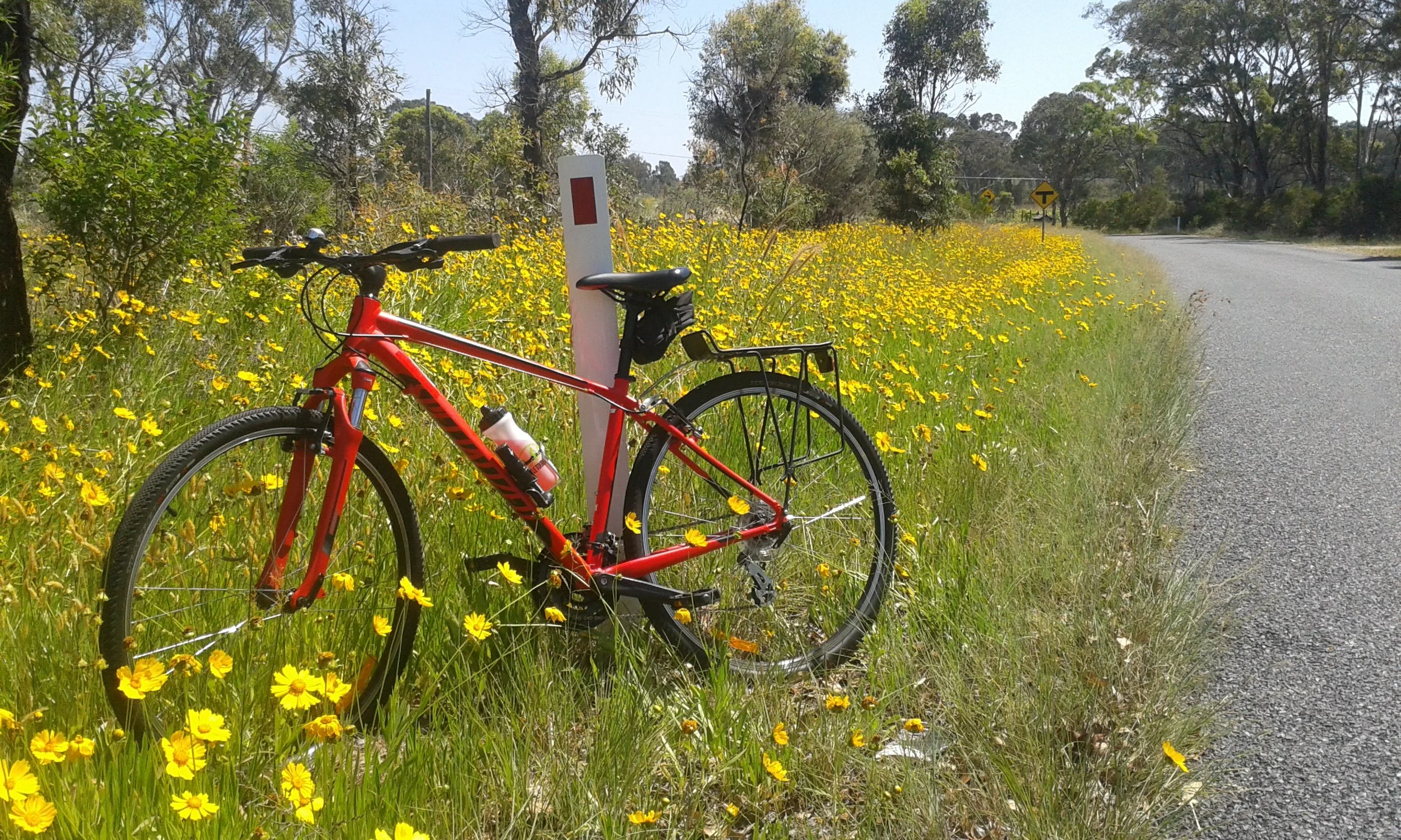 Our most popular self-guided tour!