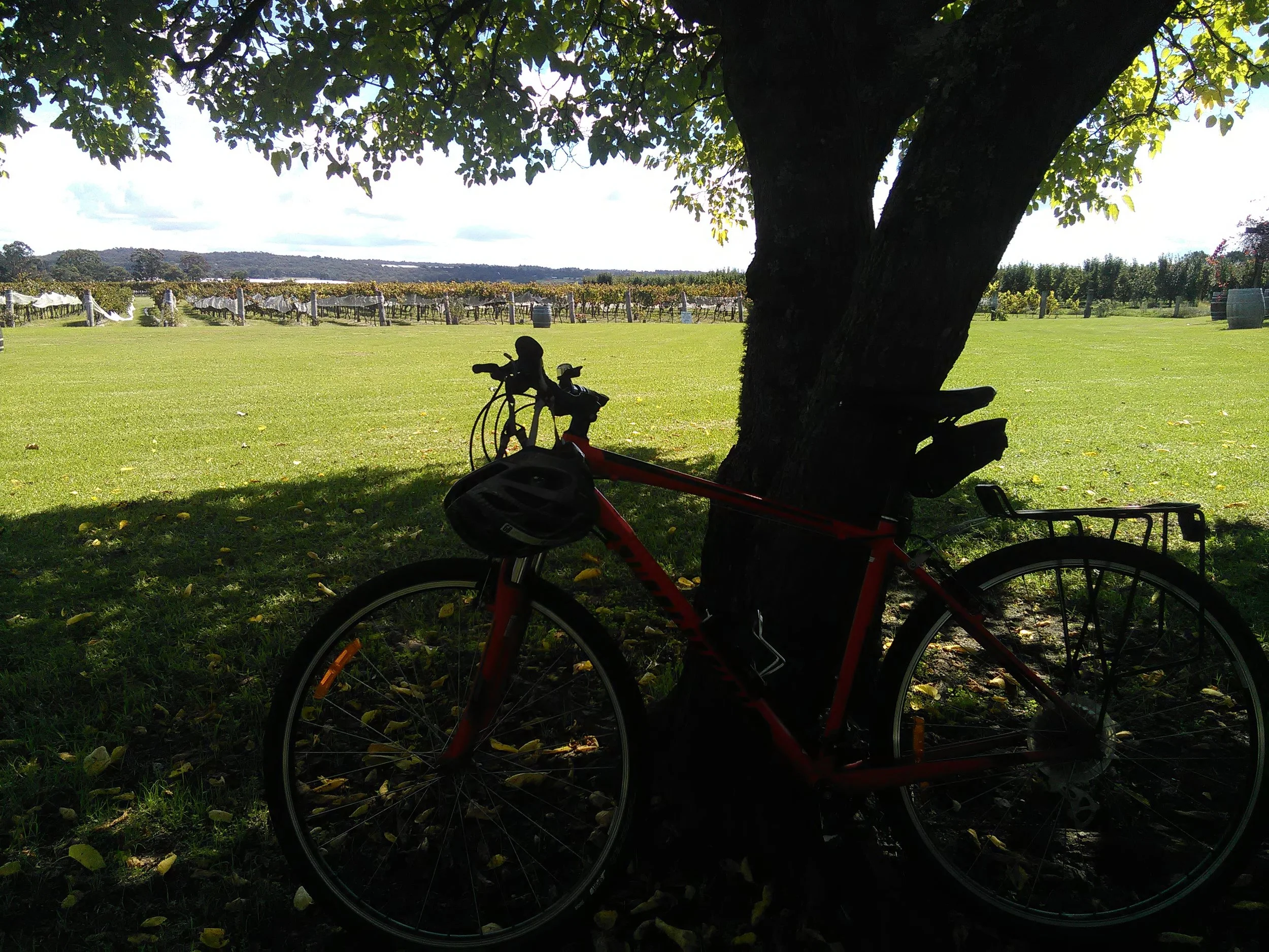 What will you discover?