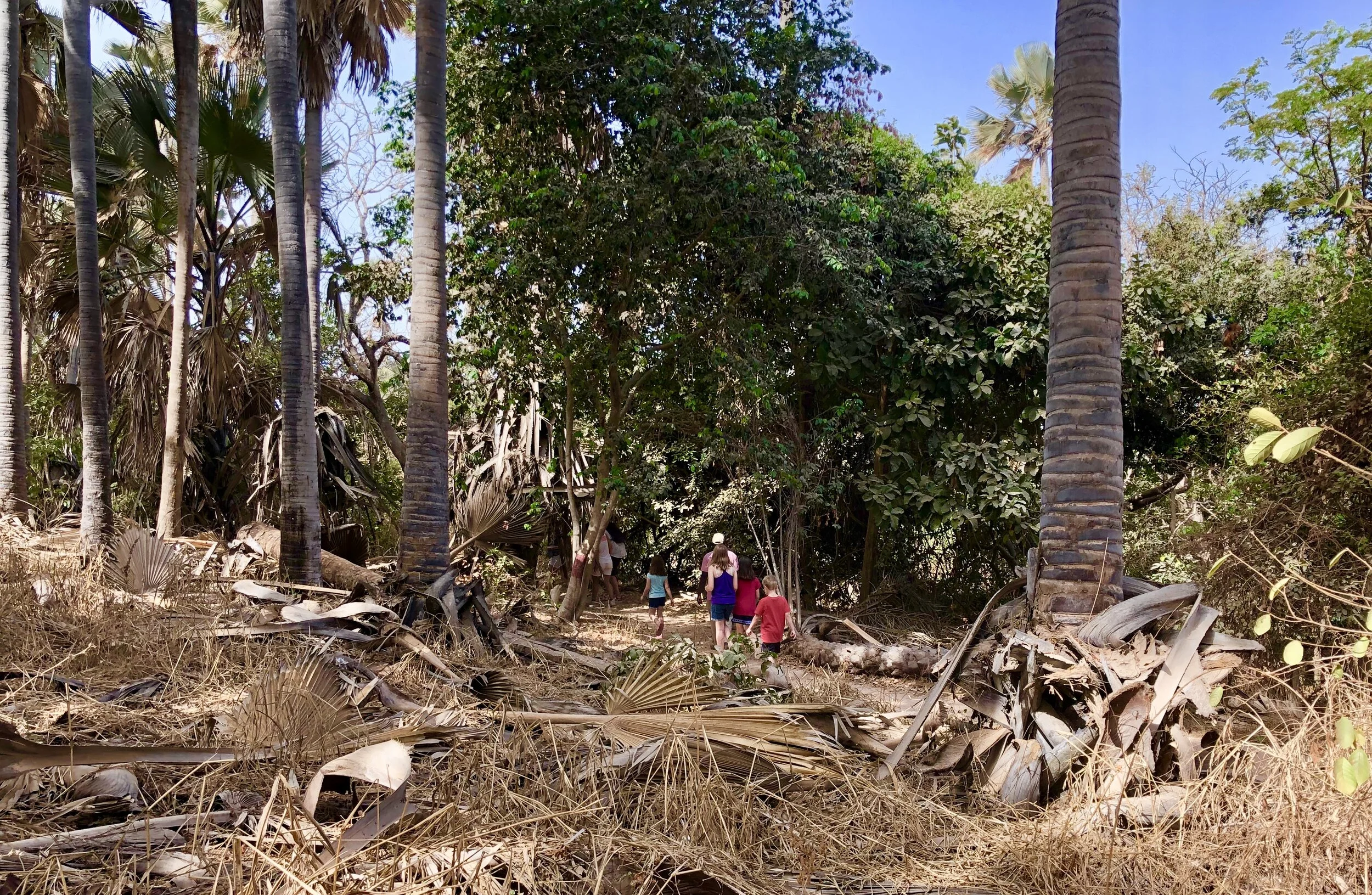 the way is made by walking