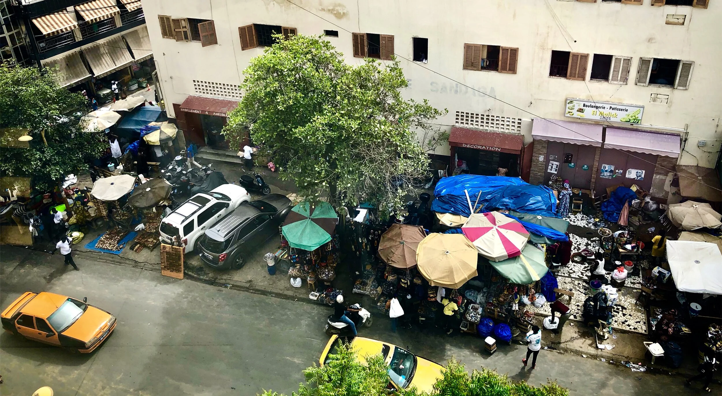 Jesus the Brother and Son