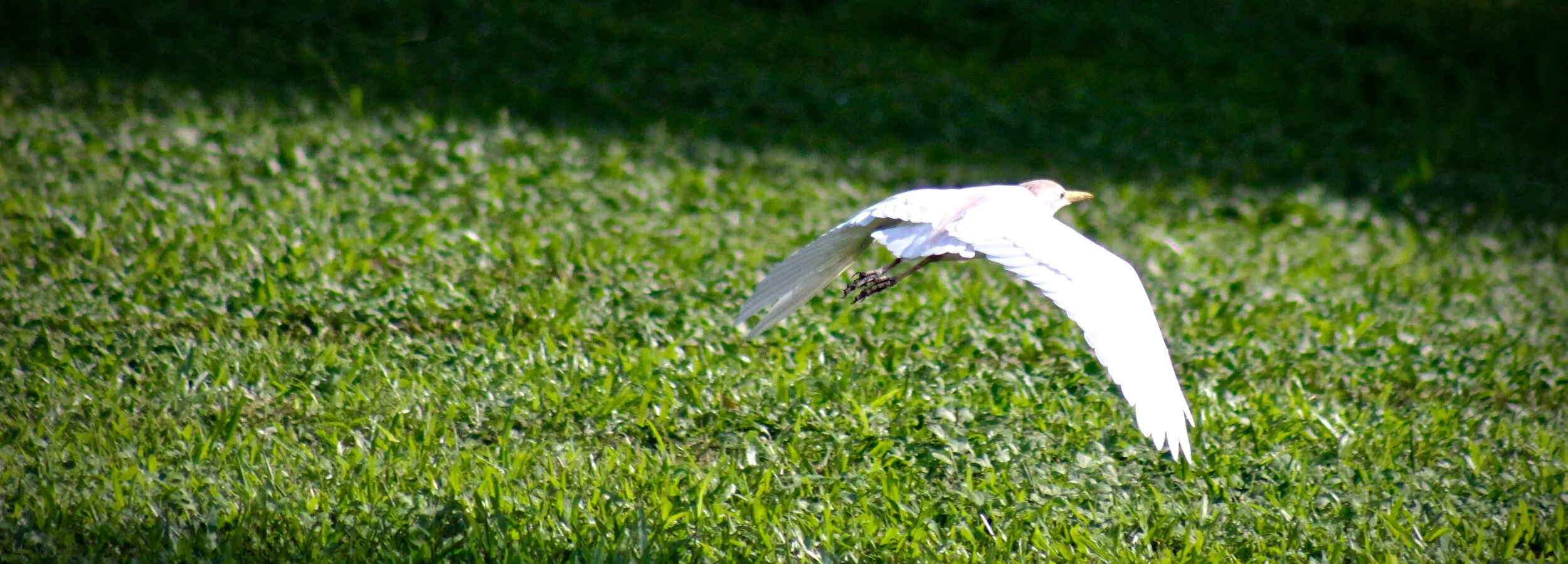 Jesus the Conduit of Blessing