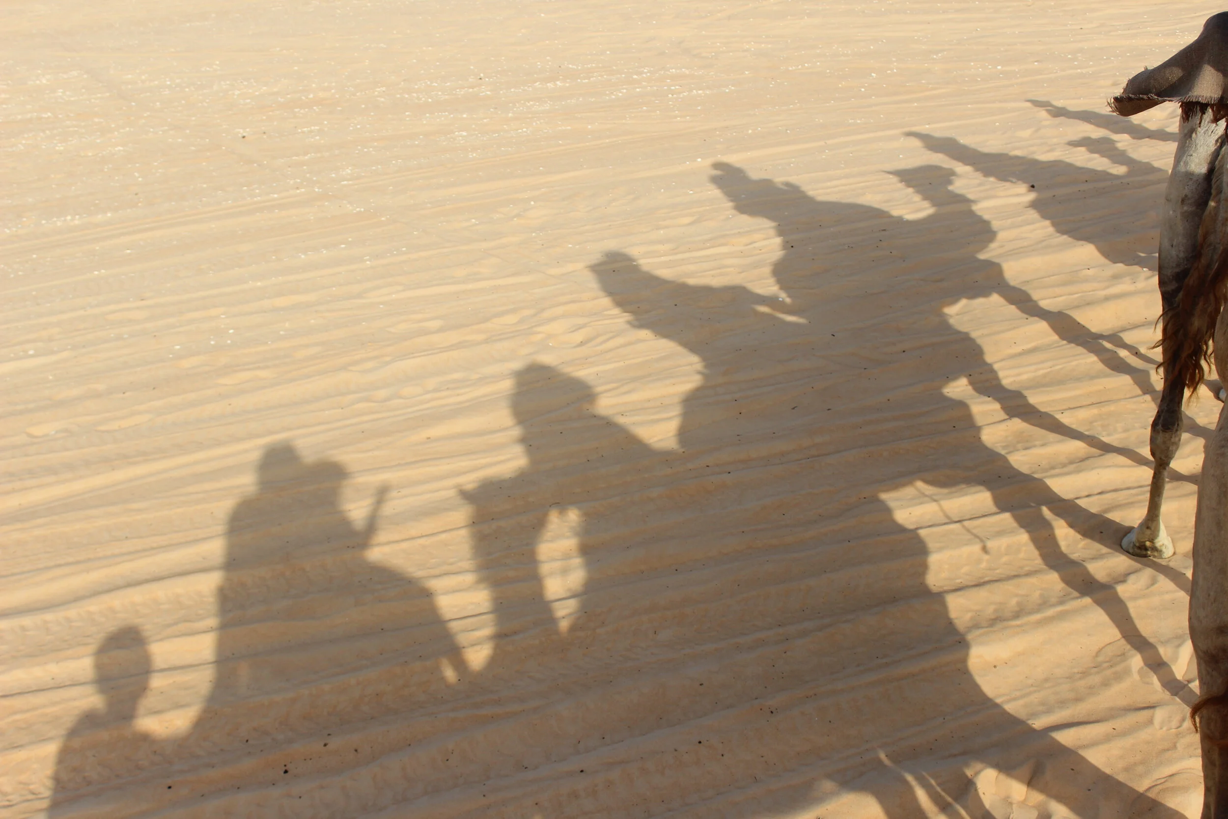 Jesus the Son of Abraham