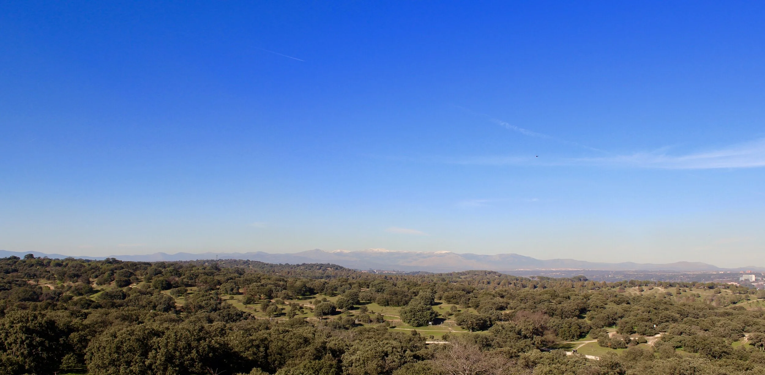 Jesus the Righteous Agriculturist