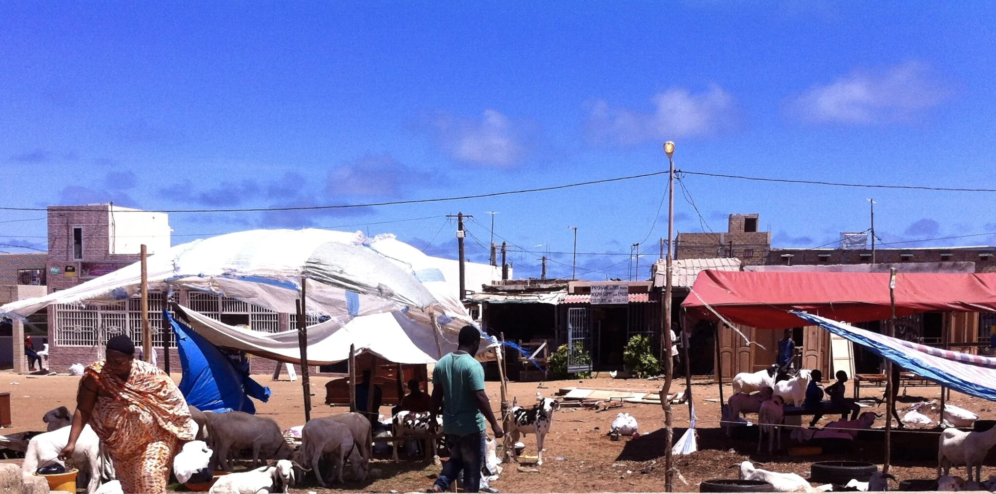 Jesus the Good Shepherd