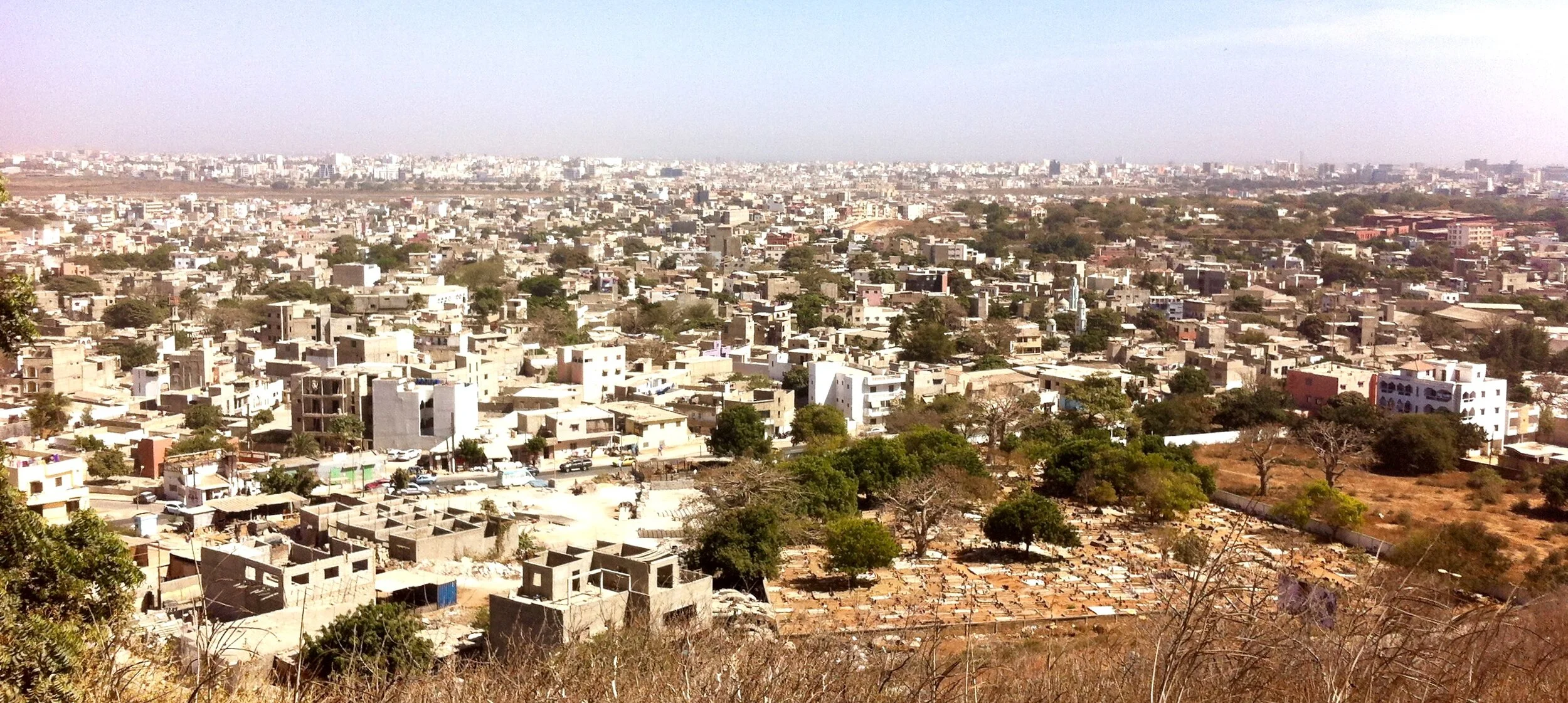 Jesus the Homeward Bound