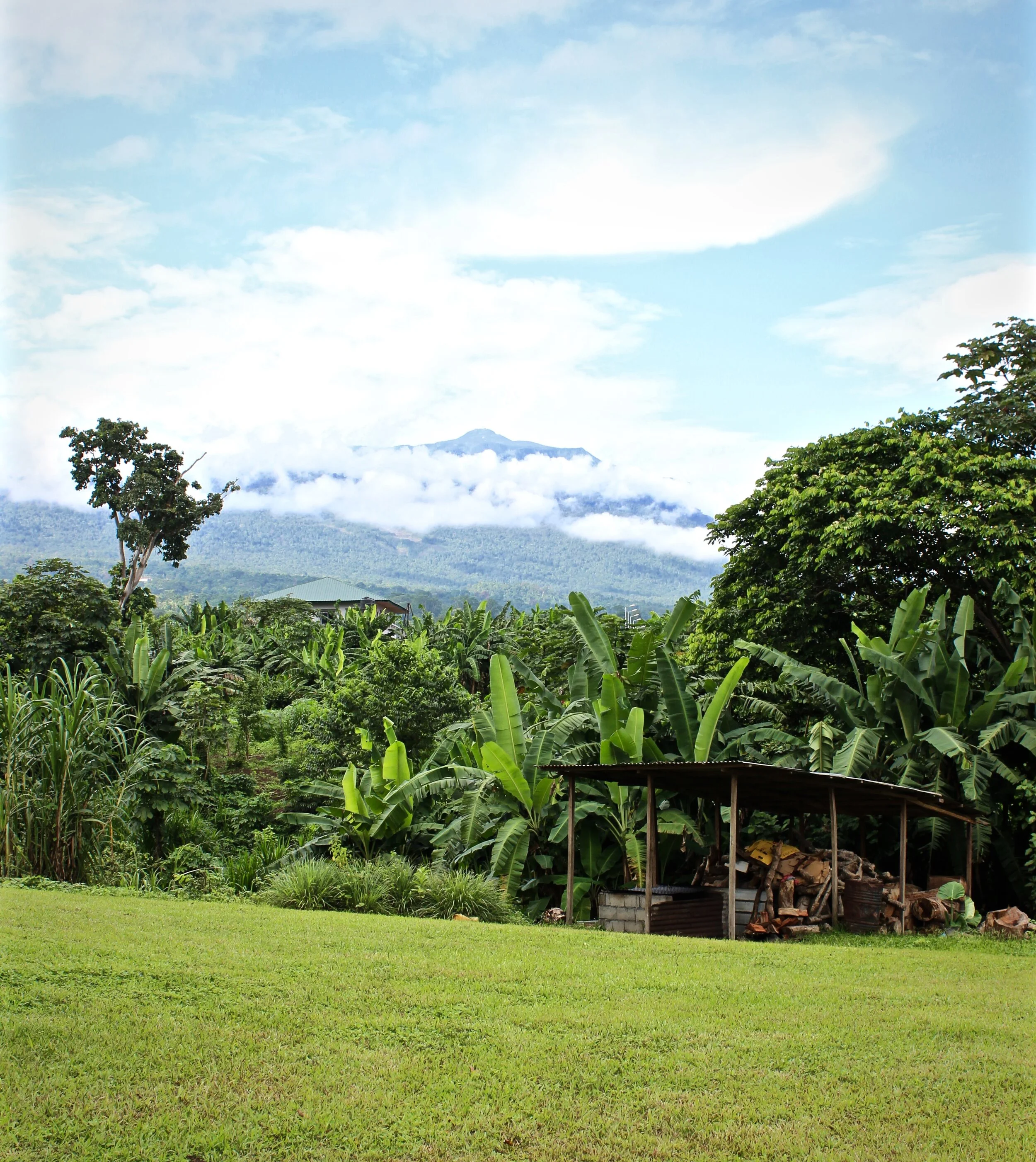 Jesus the Lord of the Sabbath