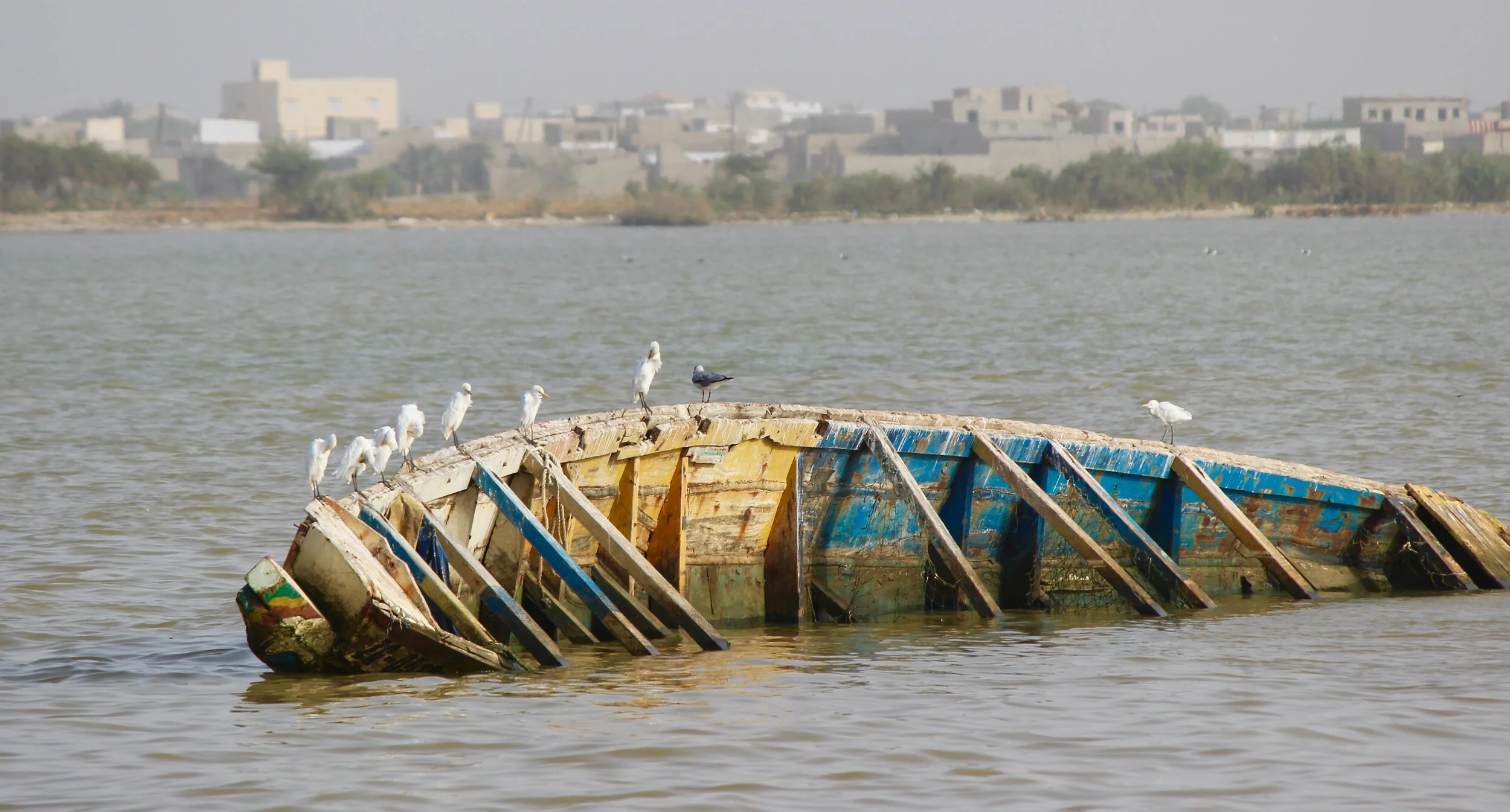 Jesus the Firstborn of the Dead