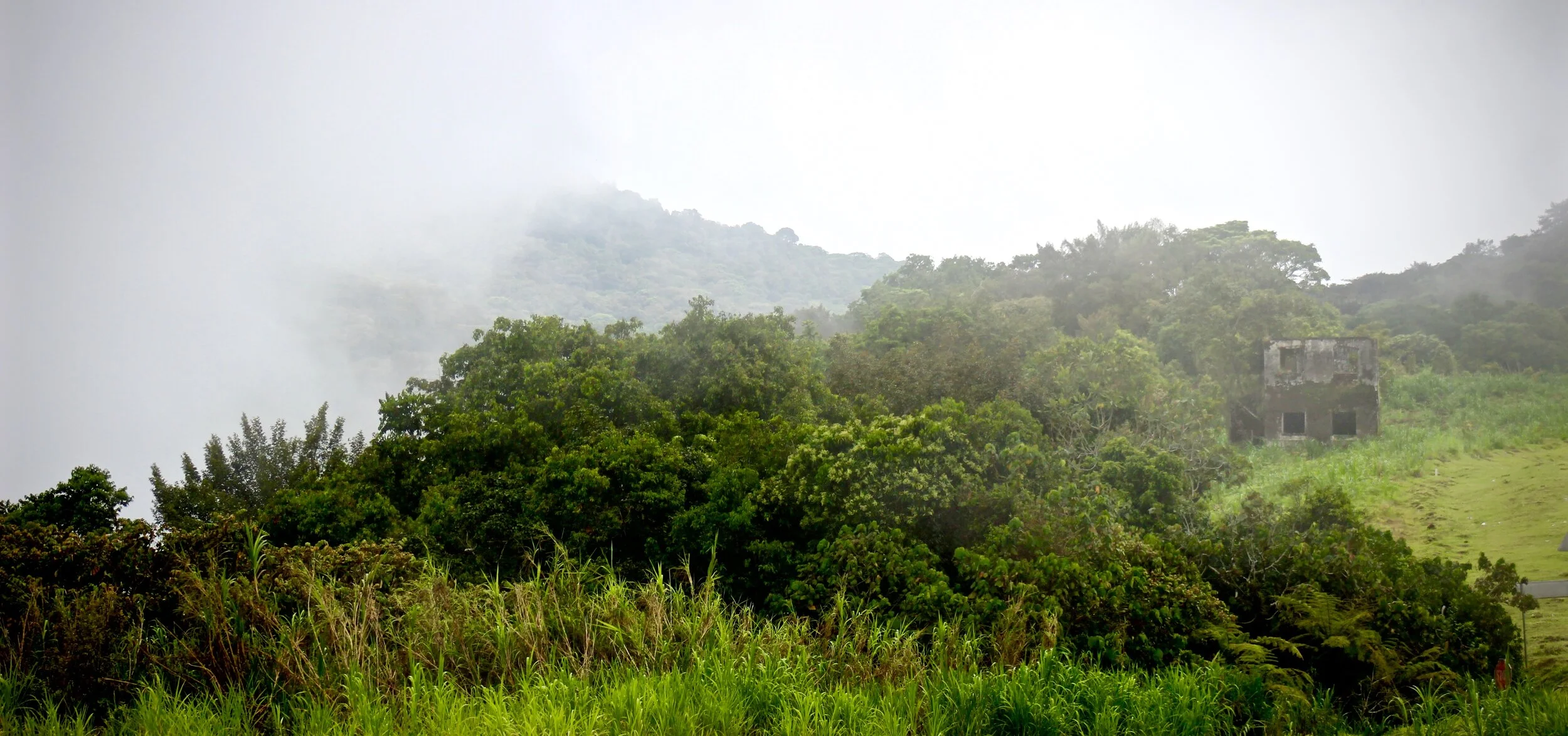 Jesus the Ruler of Earth's Kings