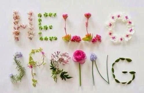 spring.jpeg