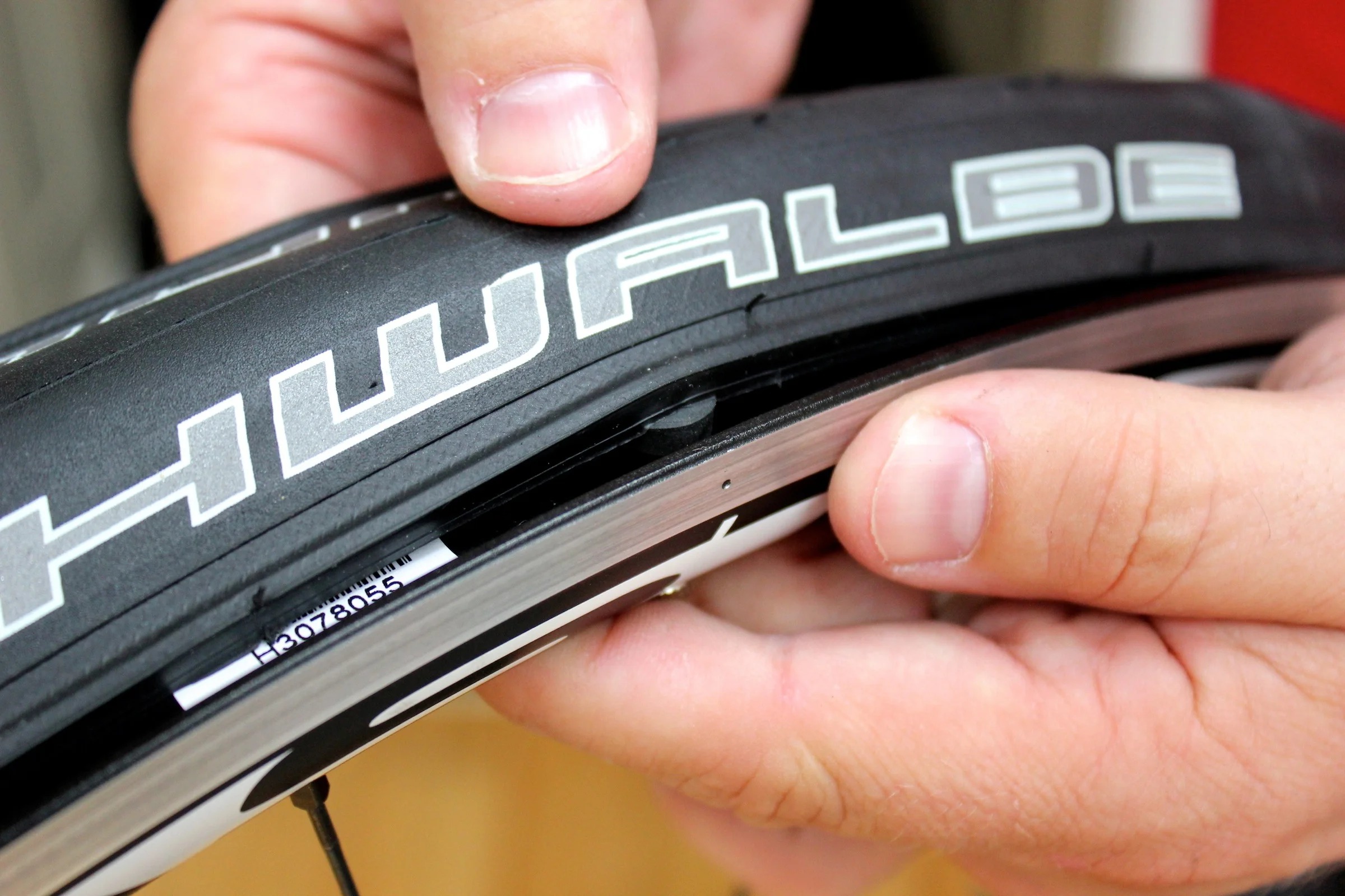 Schwalbe.jpg