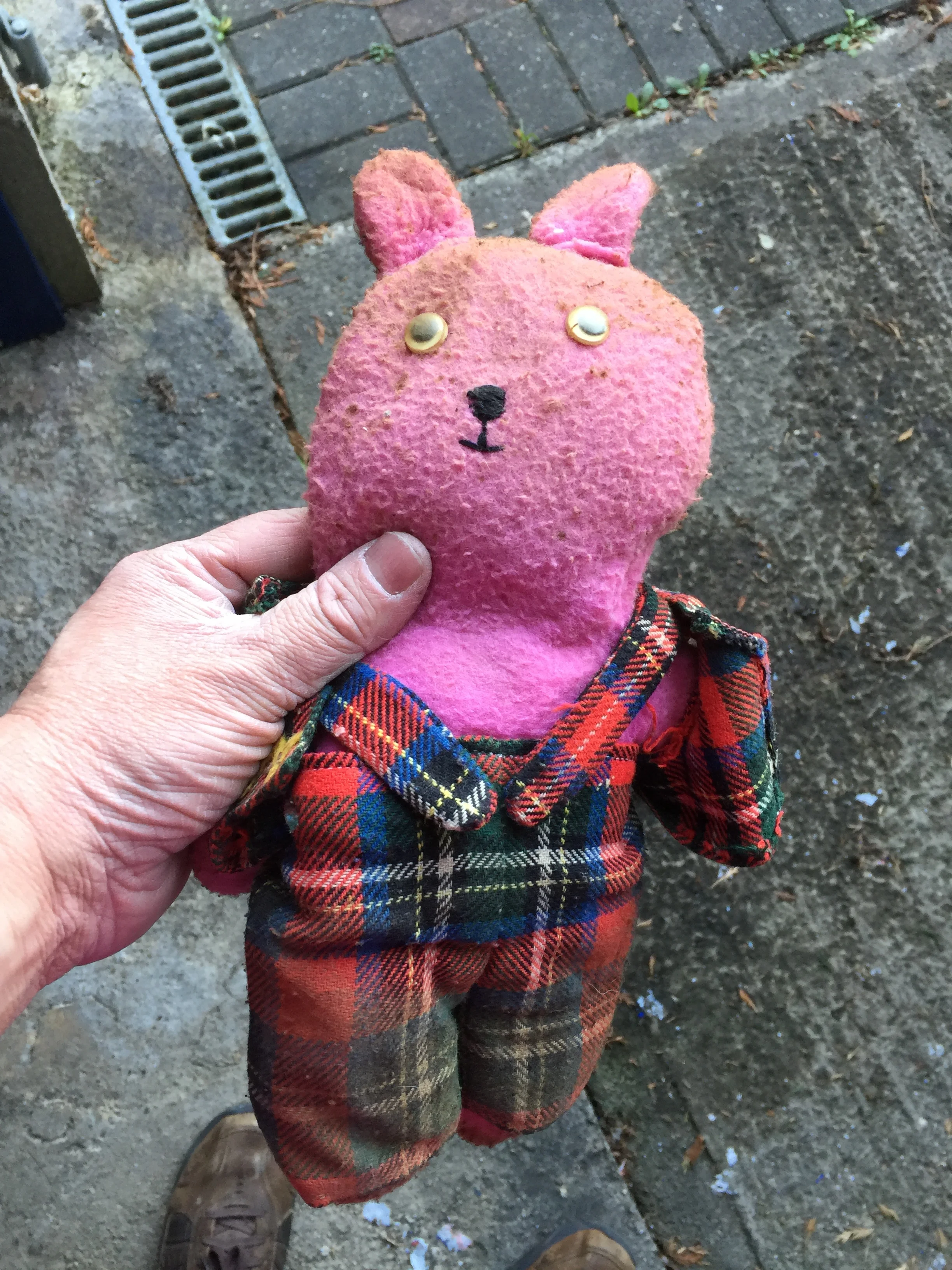 my old teddy bear from the 1970s, recovered from the garage clearance