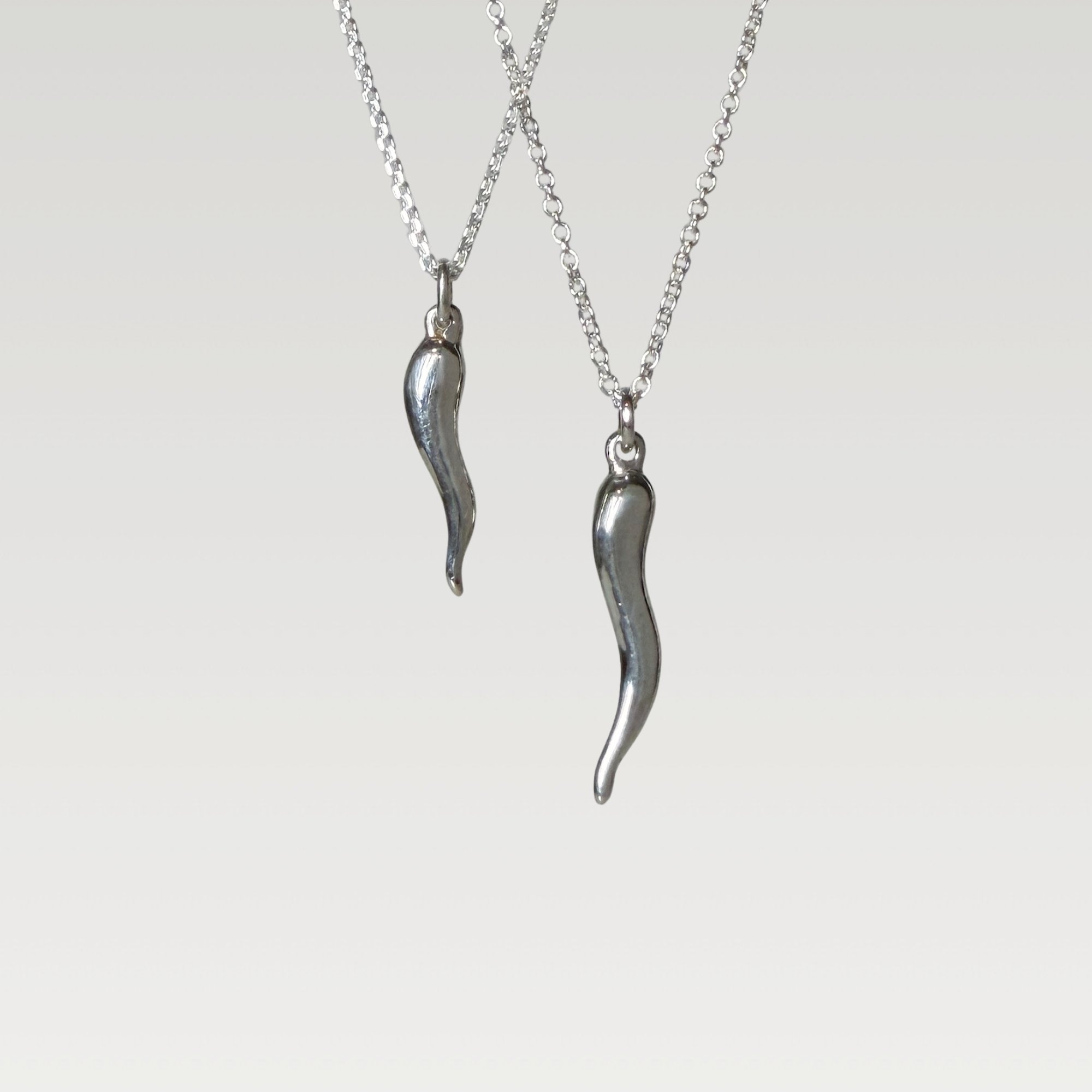 Erin DeLuca Jewelry Winter 25 Silver horn pendant.jpg