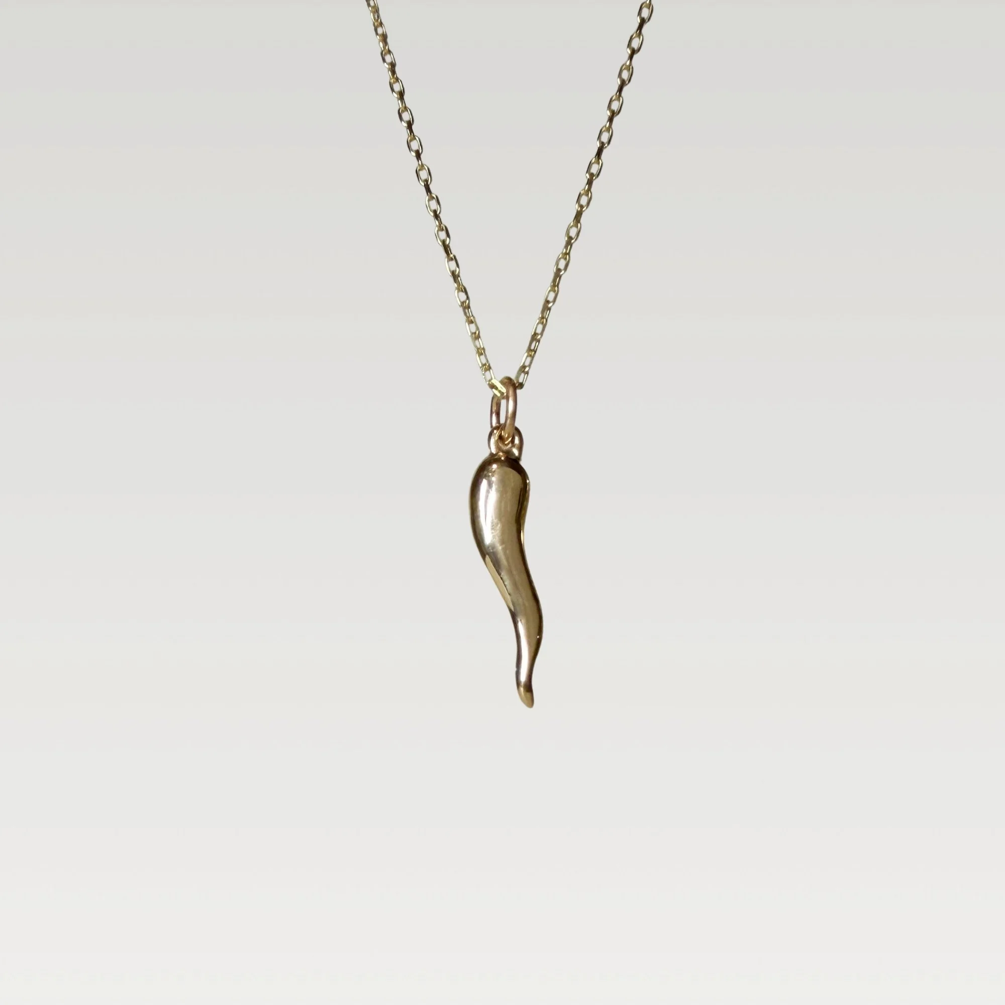 Erin DeLuca Jewelry Winter 25 14k gold horn pendant.jpg