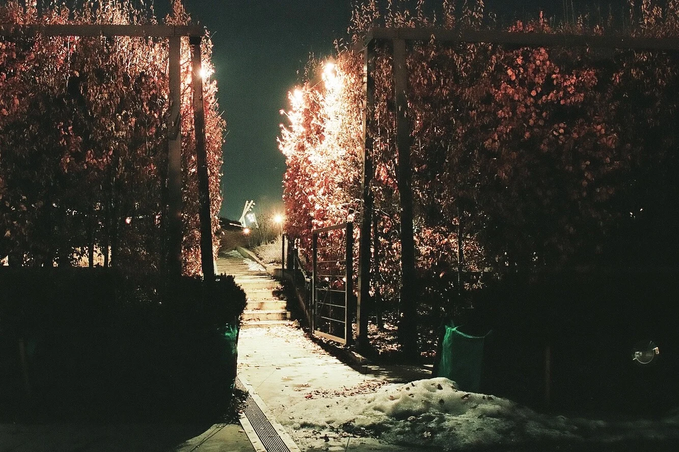 Millenium Park #0426