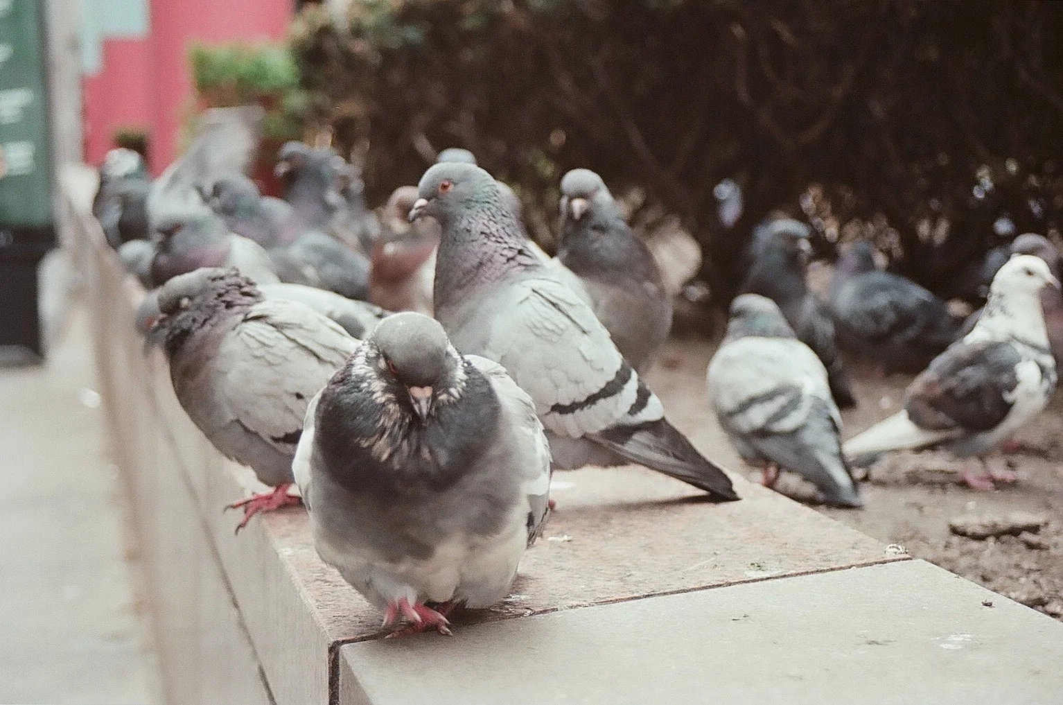 James R. Thompson Center #23
