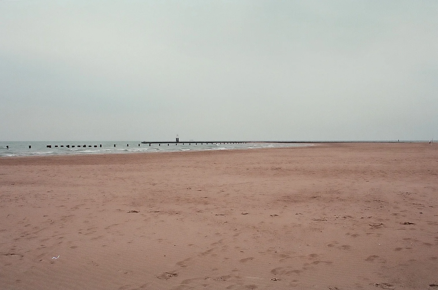 North Avenue Beach #35