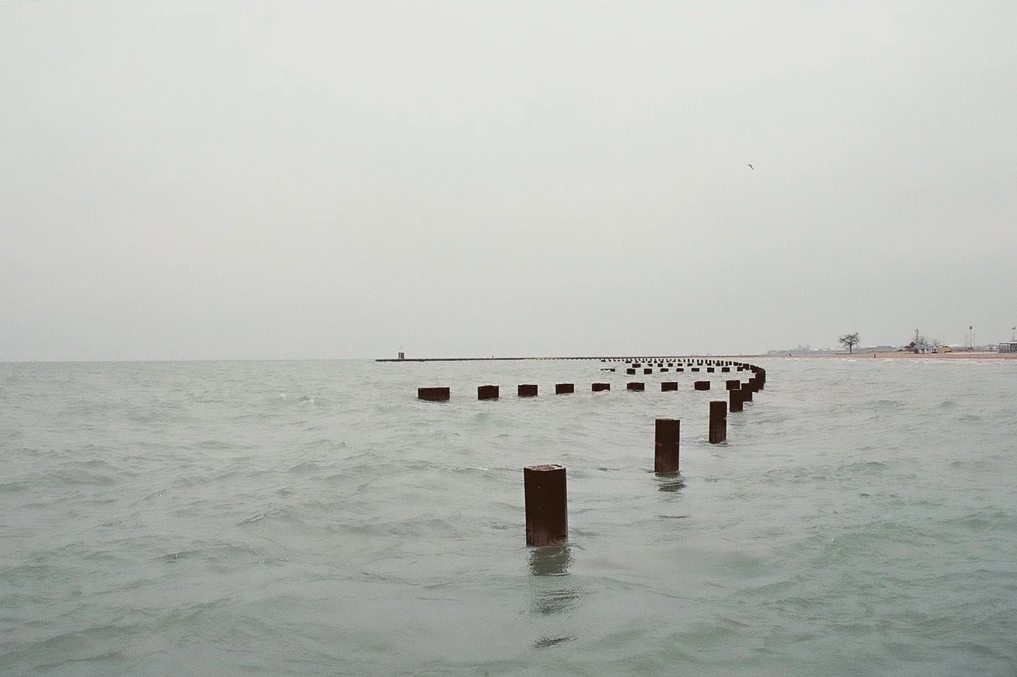 North Avenue Beach #19