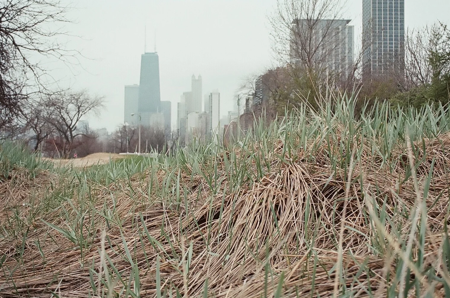 North Avenue Beach #14