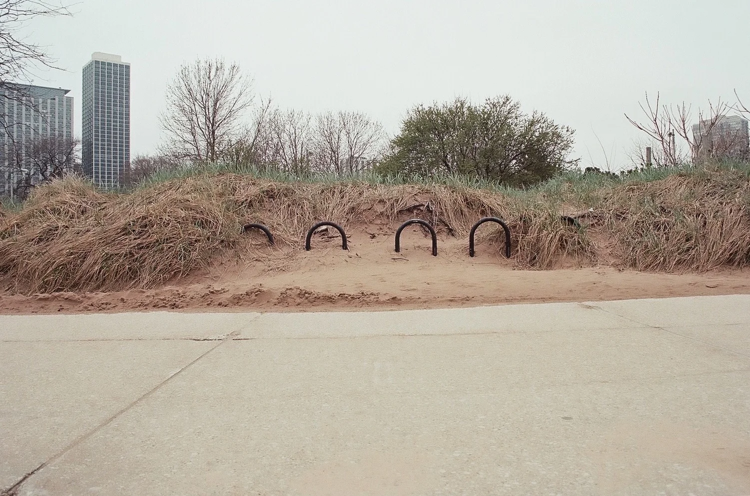 North Avenue Beach #13