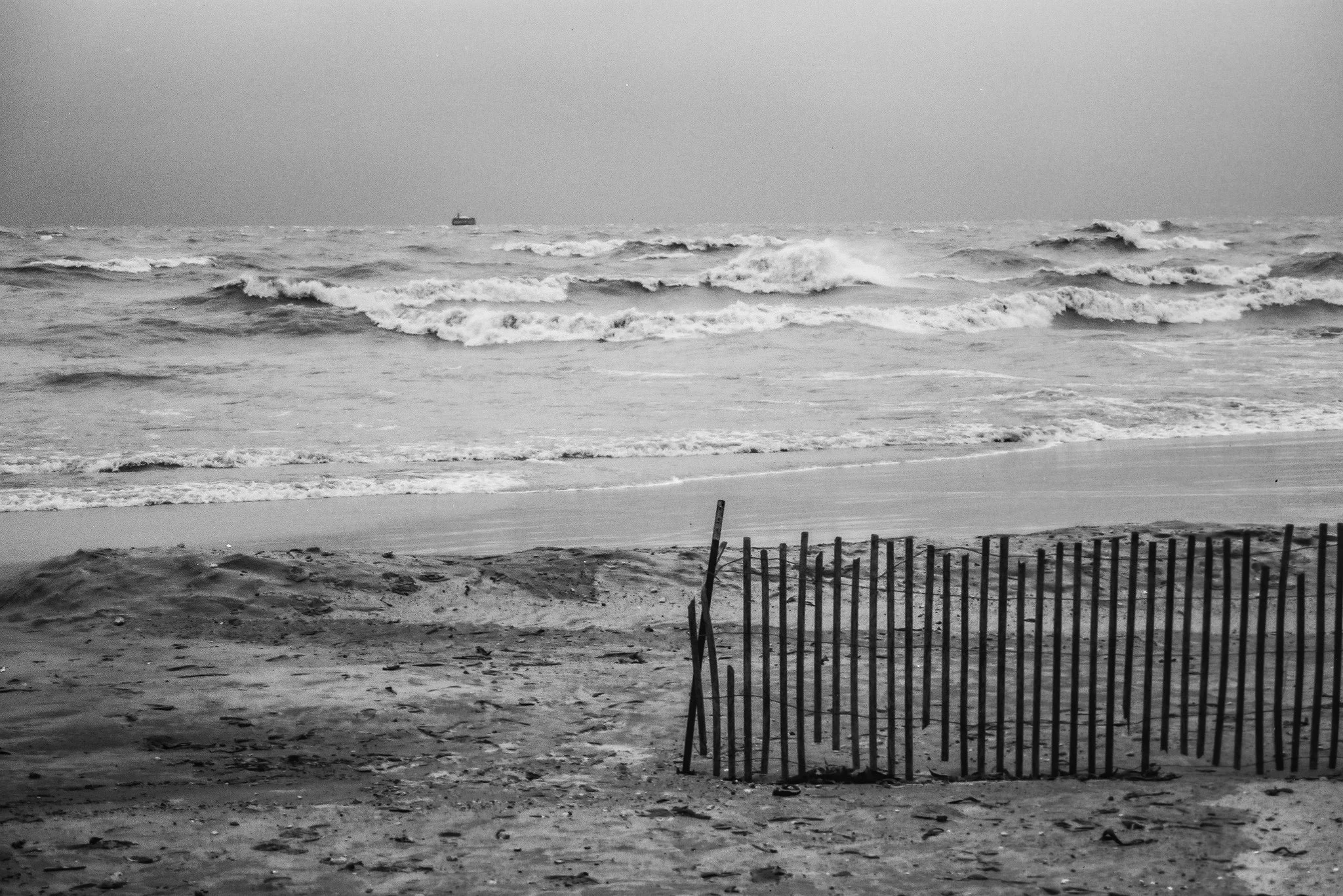 Oak Street Beach #33