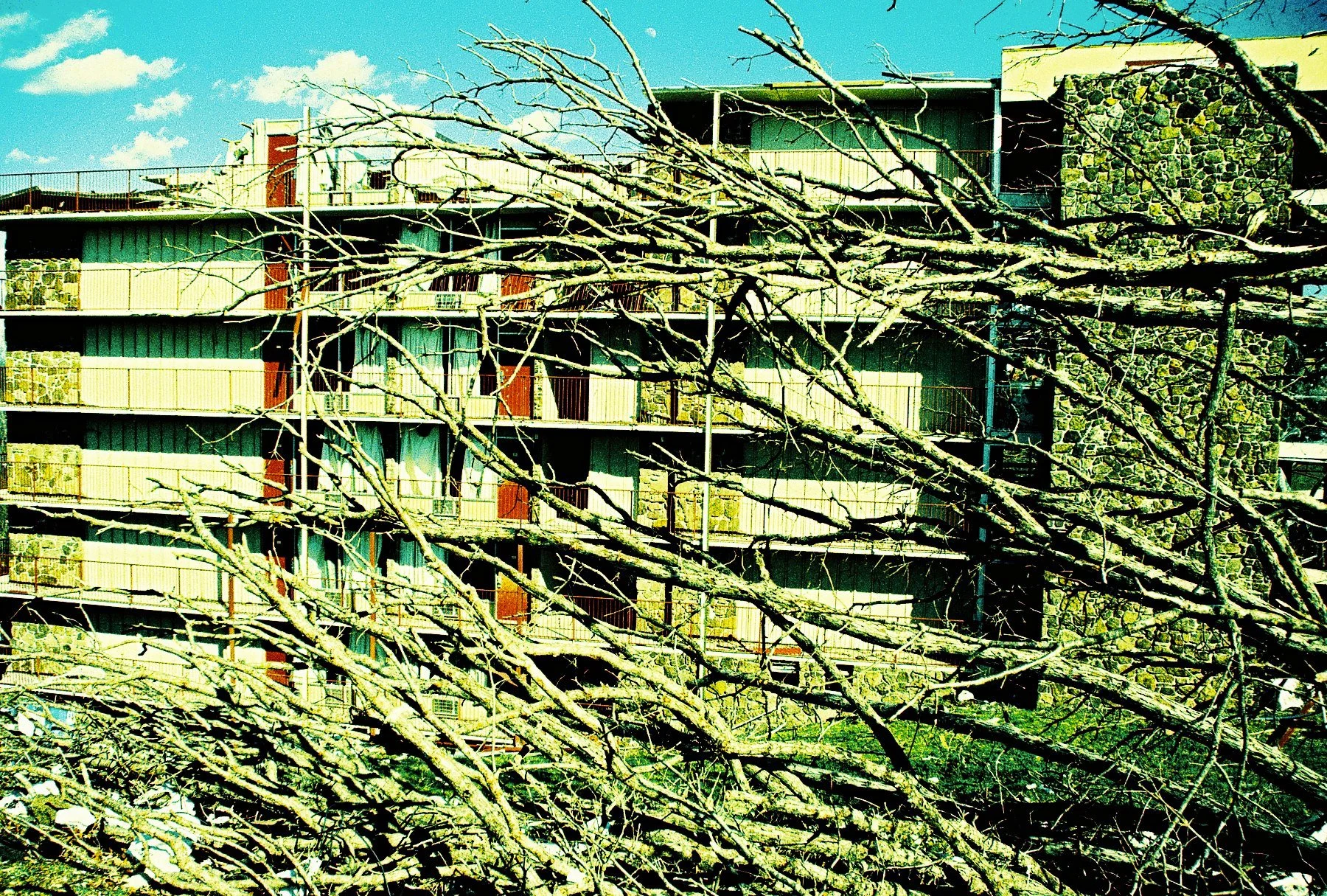 James F Epps Rd. #14