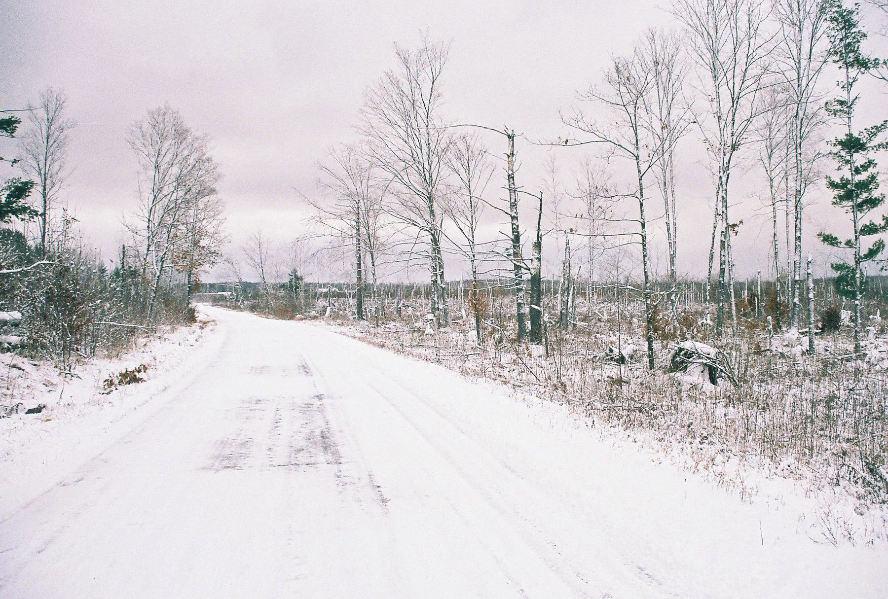 National Forest Road 2350 #13