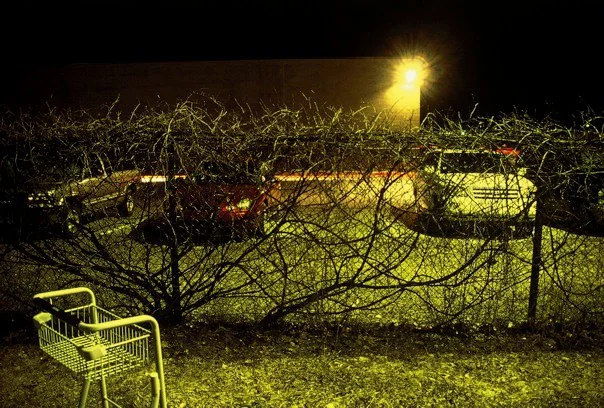 East Lansing Amtrak #25