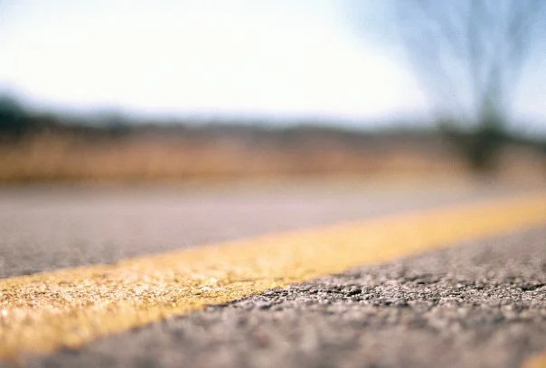 Hickory Nut Grove #10