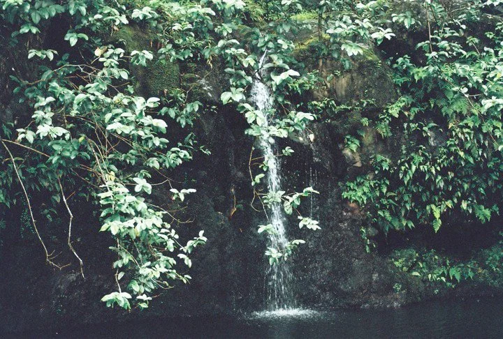 Waianapanapa State Park #01