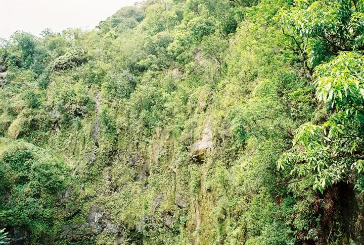Waianapanapa State Park #10