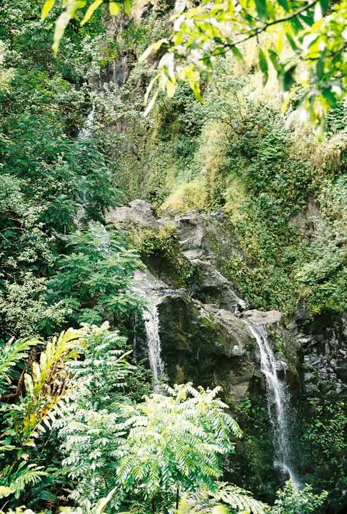 Waianapanapa State Park # 12